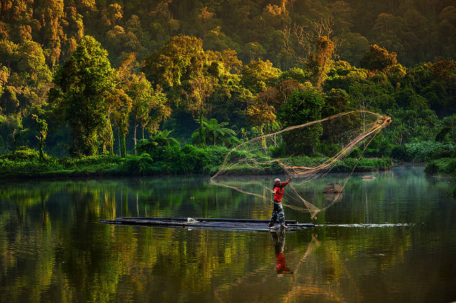 A Man Fishing with Traditional Net, Situ Gunung, West Java, Indonesia A Man Fishing with Traditional Net, Situ Gunung, West Java, Indonesia