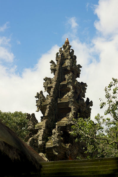 Forest temple, ubud, indonesia