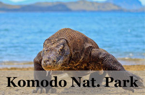 Komodo National Park, Indonesia