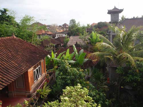 View from a homestay in indonesia