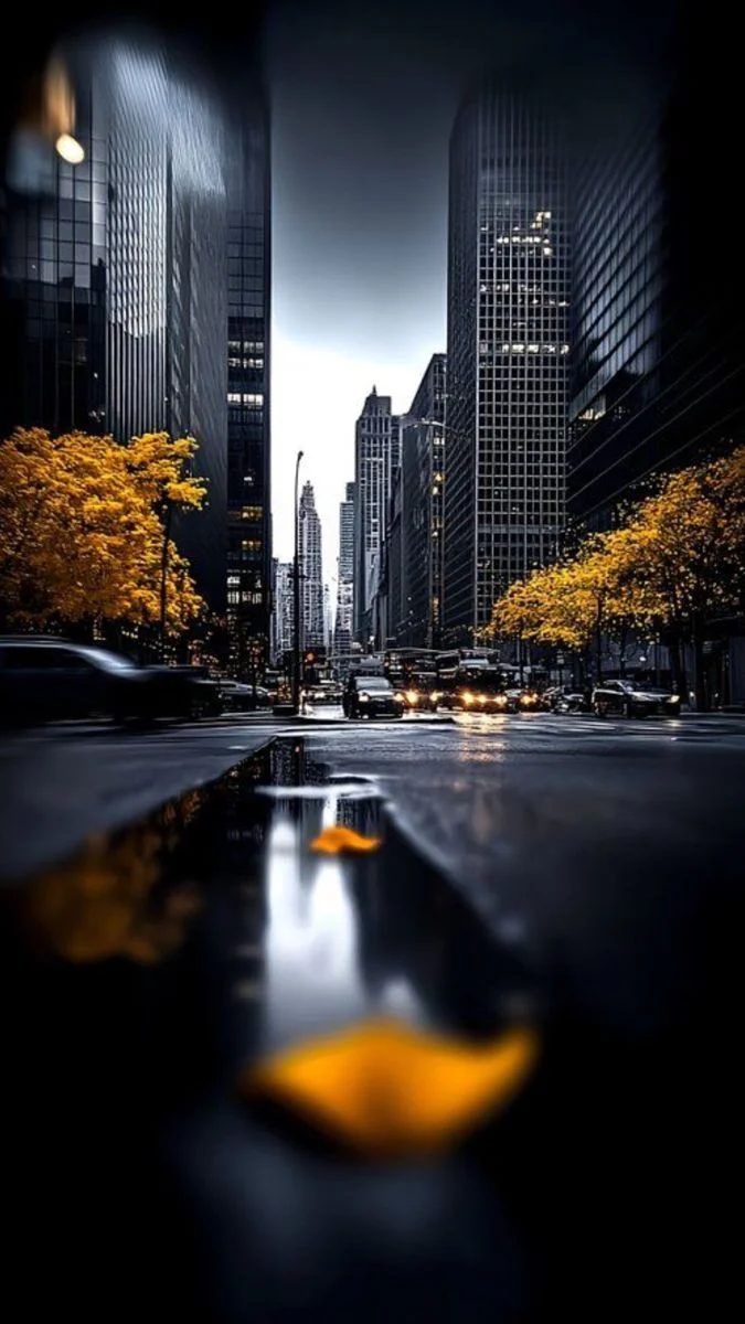 사이트모음으로 필요한 웹페이지